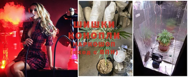винт Чегем